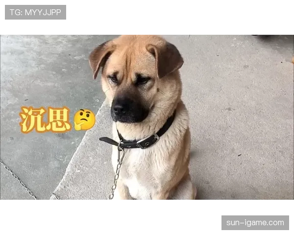 颜骏凌家的狗吃的比我都贵